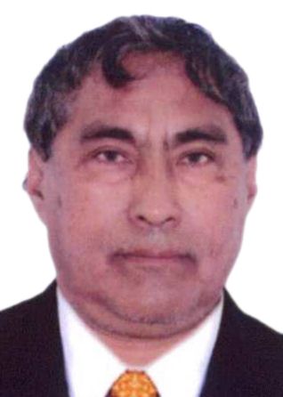 Saúl Andrés Armacanqui Morales